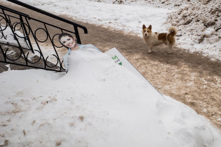 Snow Covered Standee 