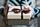 give