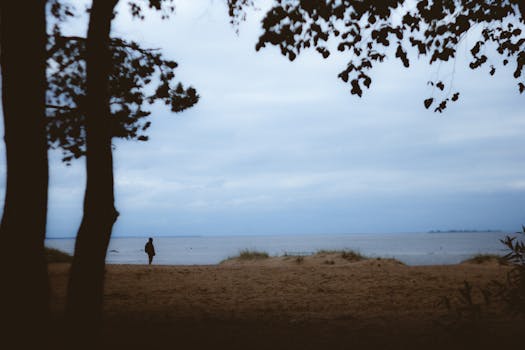 A lone person walks along a sandy beach under a cloudy sky, framed by trees.