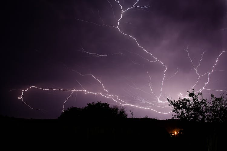 Silhouette Of Trees Under A Lightning