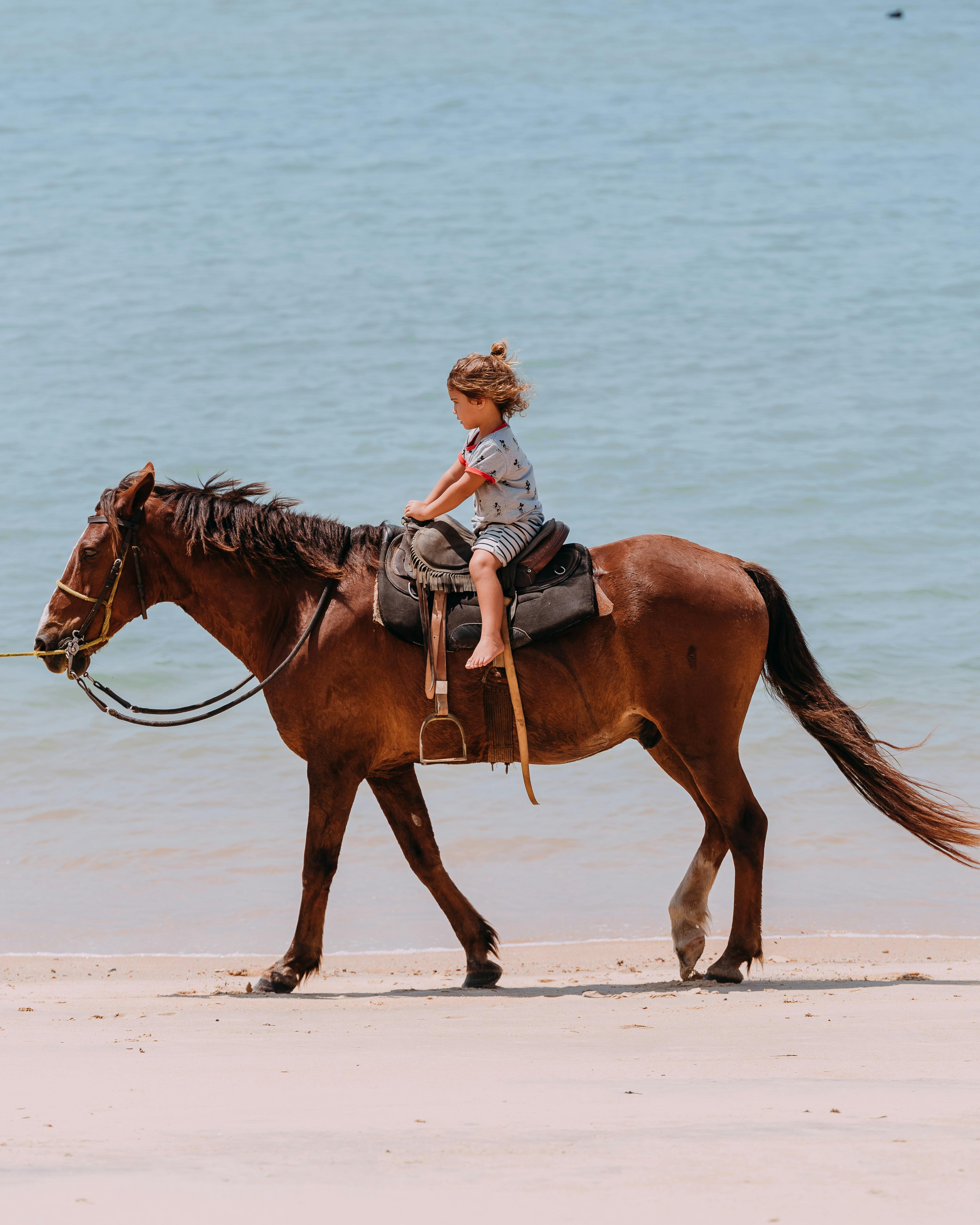 girl riding brown horse on beach