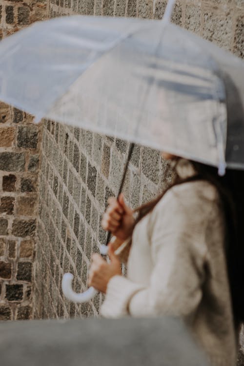 Základová fotografie zdarma na téma deštník, držení, osoba