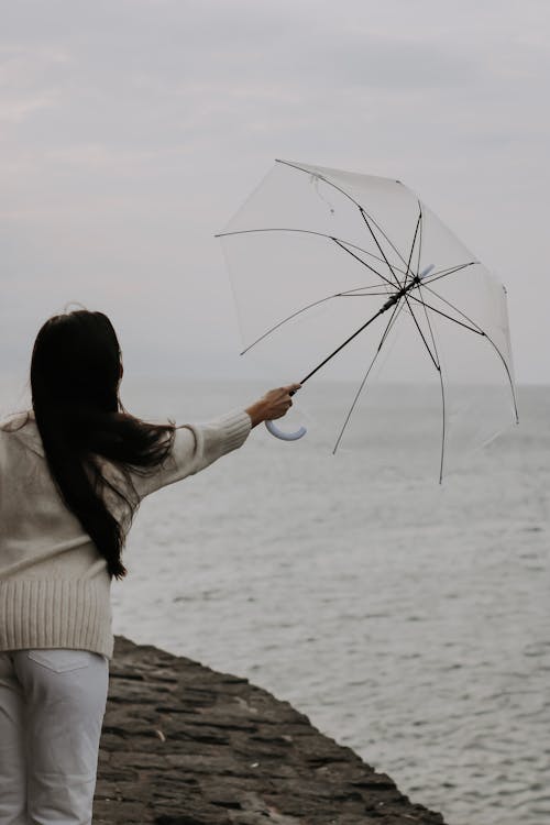 Základová fotografie zdarma na téma deštník, držení, pohled zezadu