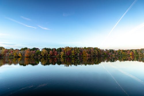 Kostenloses Stock Foto zu bäume, blauer himmel, draußen