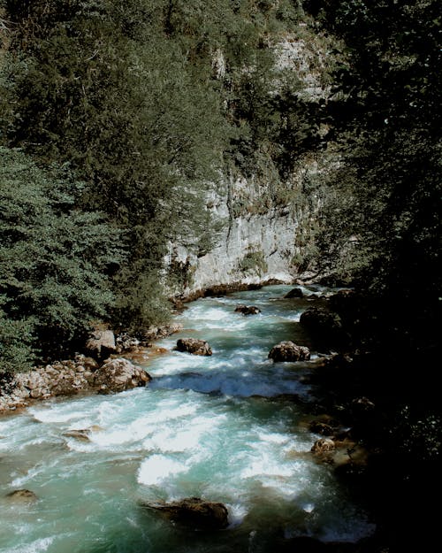 Photo Mountain River 