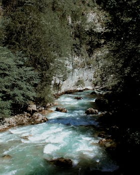 Captivating view of a mountain river flowing through lush greenery and rocks.
