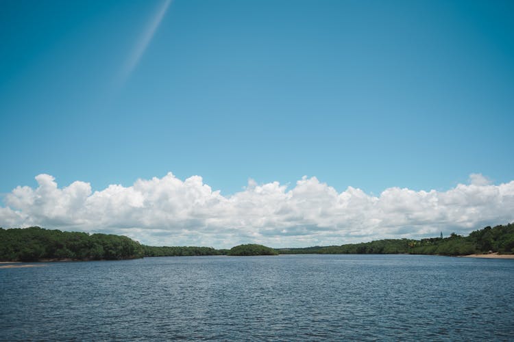 Summer View Of Lake Surrounded By Forest