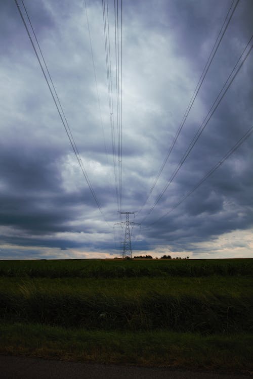 Free Power Lines Over a Field Stock Photo