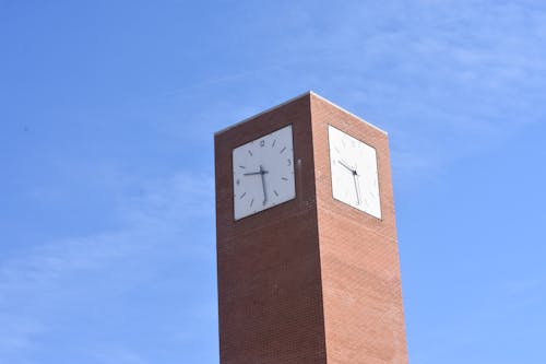 Free stock photo of clock tower, fresno state, fresno state clock tower Stock Photo