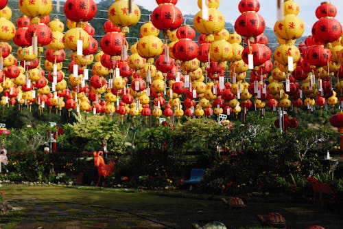 Yard Decorated with Traditional Chinese Paper Lanterns