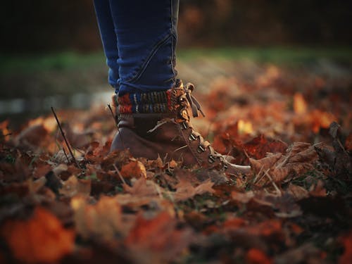 Person Wearing Boots Standing on Dry Leaves