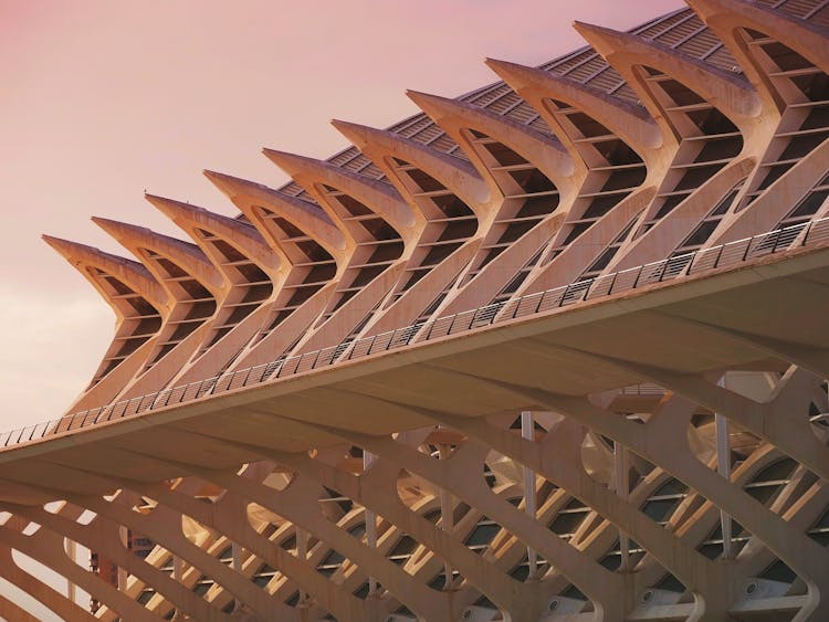 Valencia Science Museum In Spain