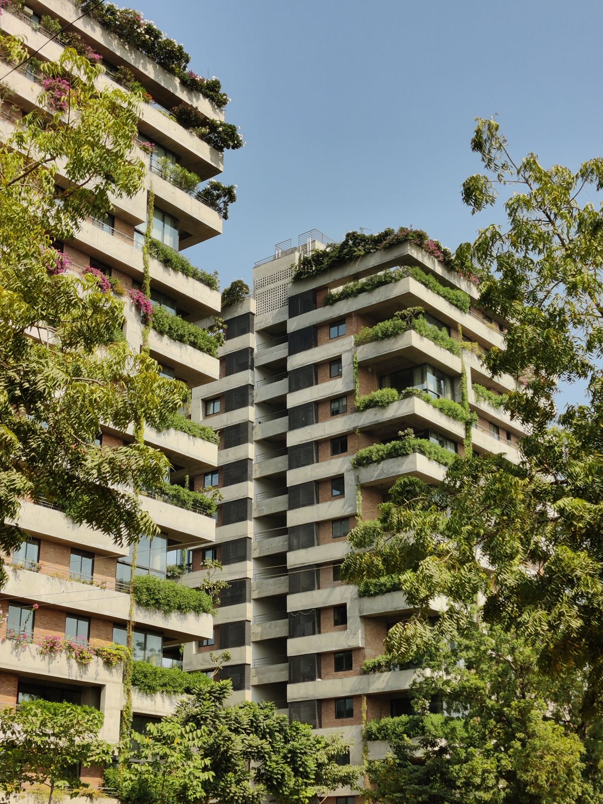 Apartment balconies filled with green plants