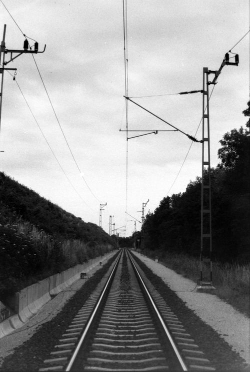 Free Monochrome image of railway tracks extending into distance. Stock Photo
