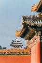 Rooftops of Chinese Palace