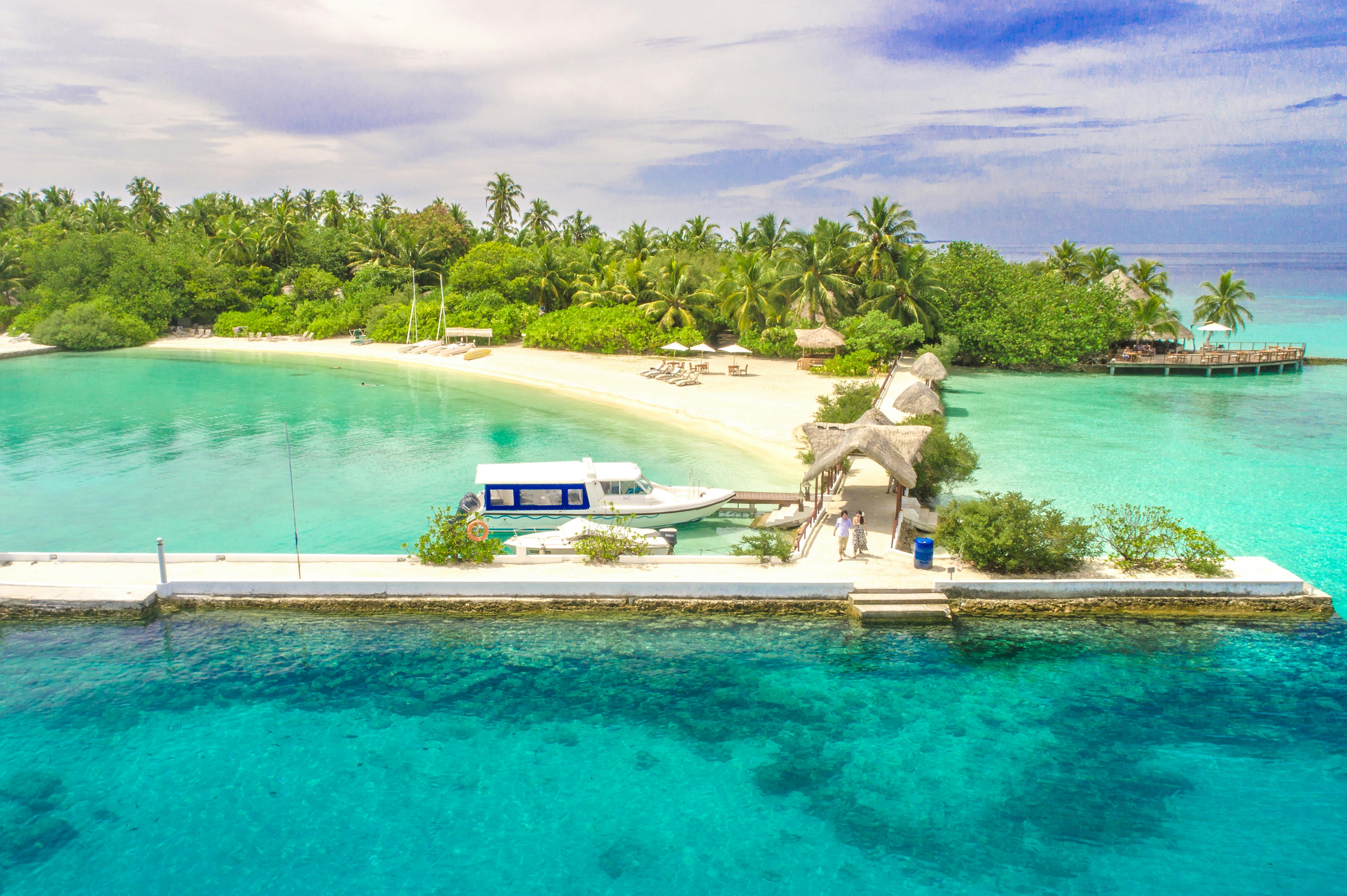 aerial photography of white dock by the ocean surrounded with trees under blue sky and white clouds