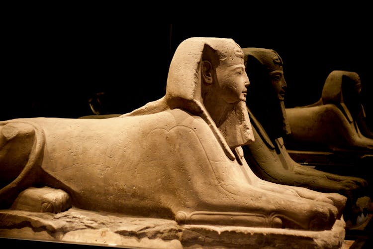 The Sphinxes Of Hatshepsut