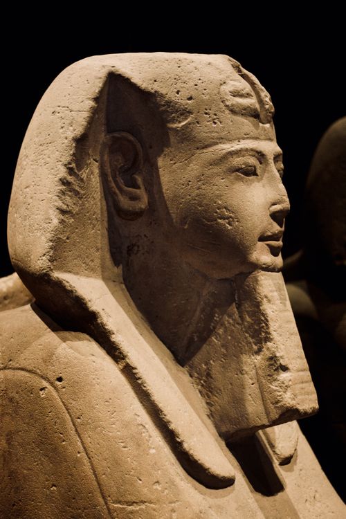 Statue of Pharaoh in Close-up Photography · Free Stock Photo