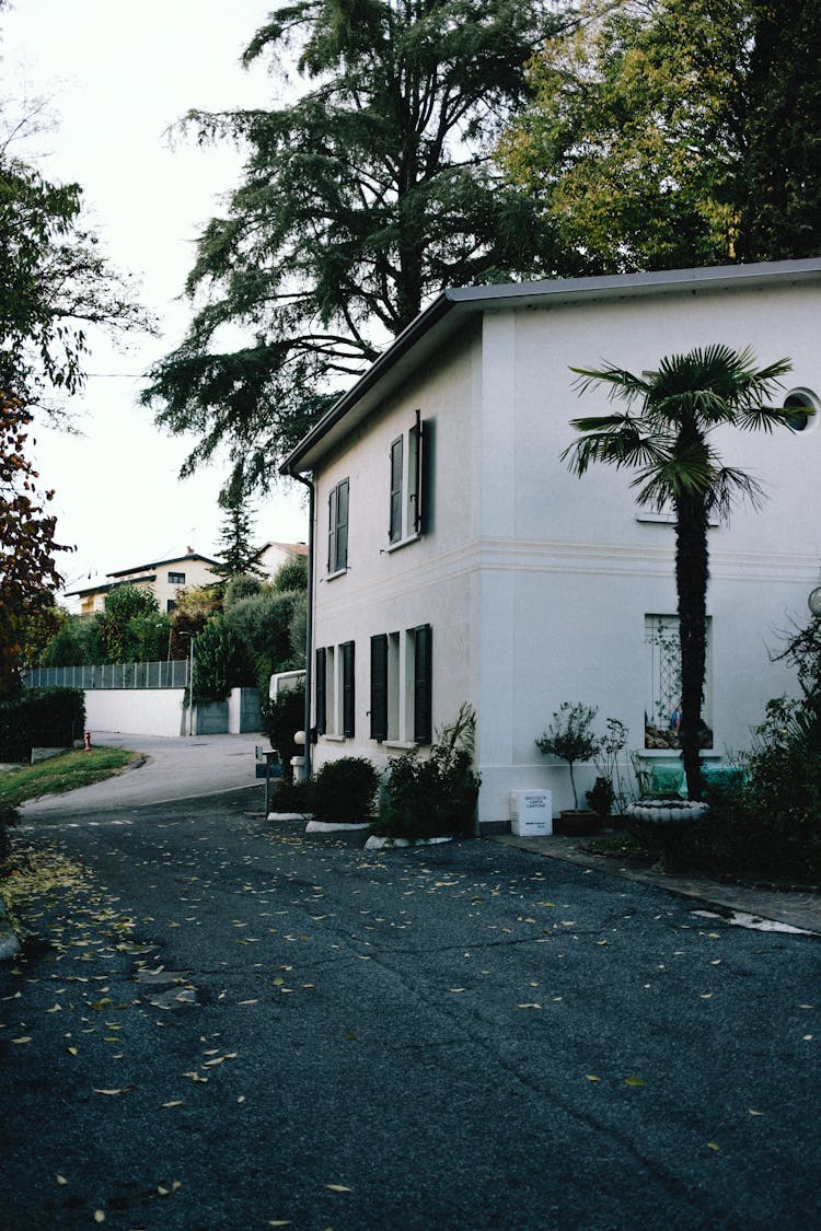 House Near Street