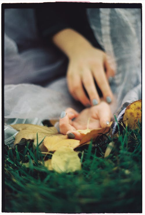 Person's Hands on the Ground