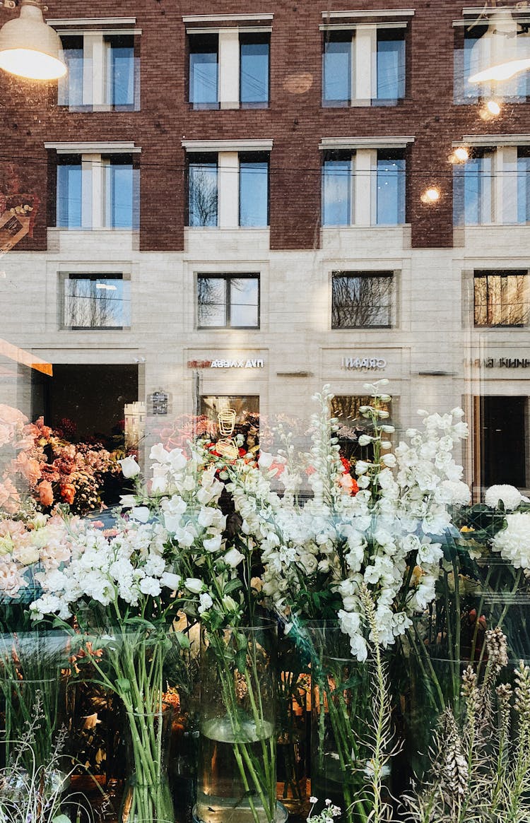 Florists Window Display With Reflection Of Residential Building