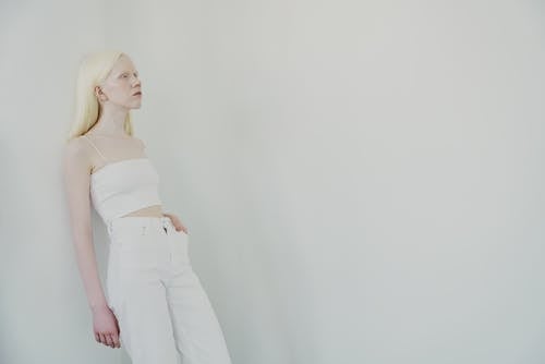 Gratis Fotos de stock gratuitas de adentro, albino, apoyado Foto de stock