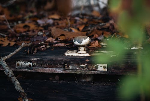 Kostnadsfri bild av dörr knopp, förfall, gammal