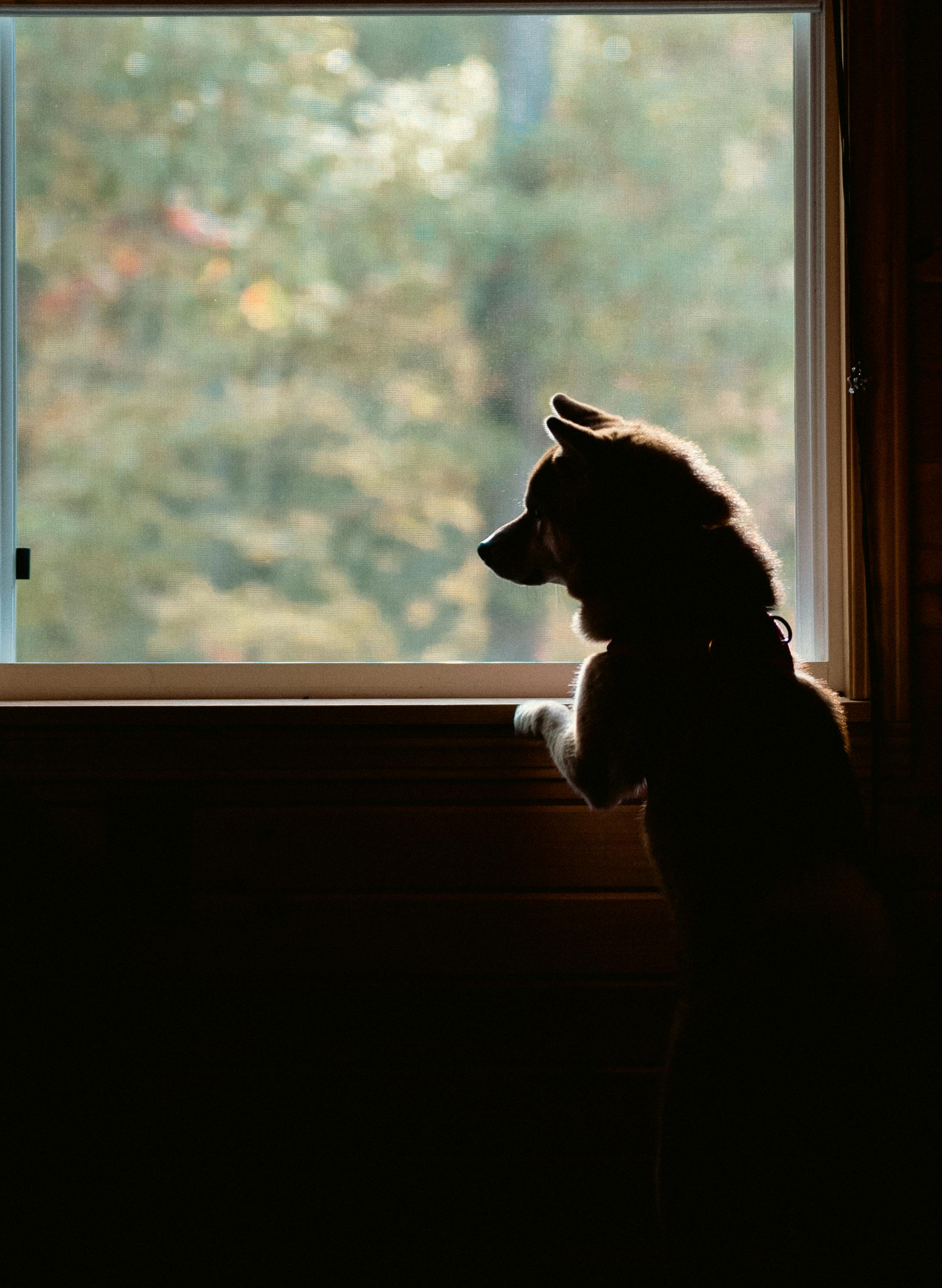 Assess Damage-Prone Areas