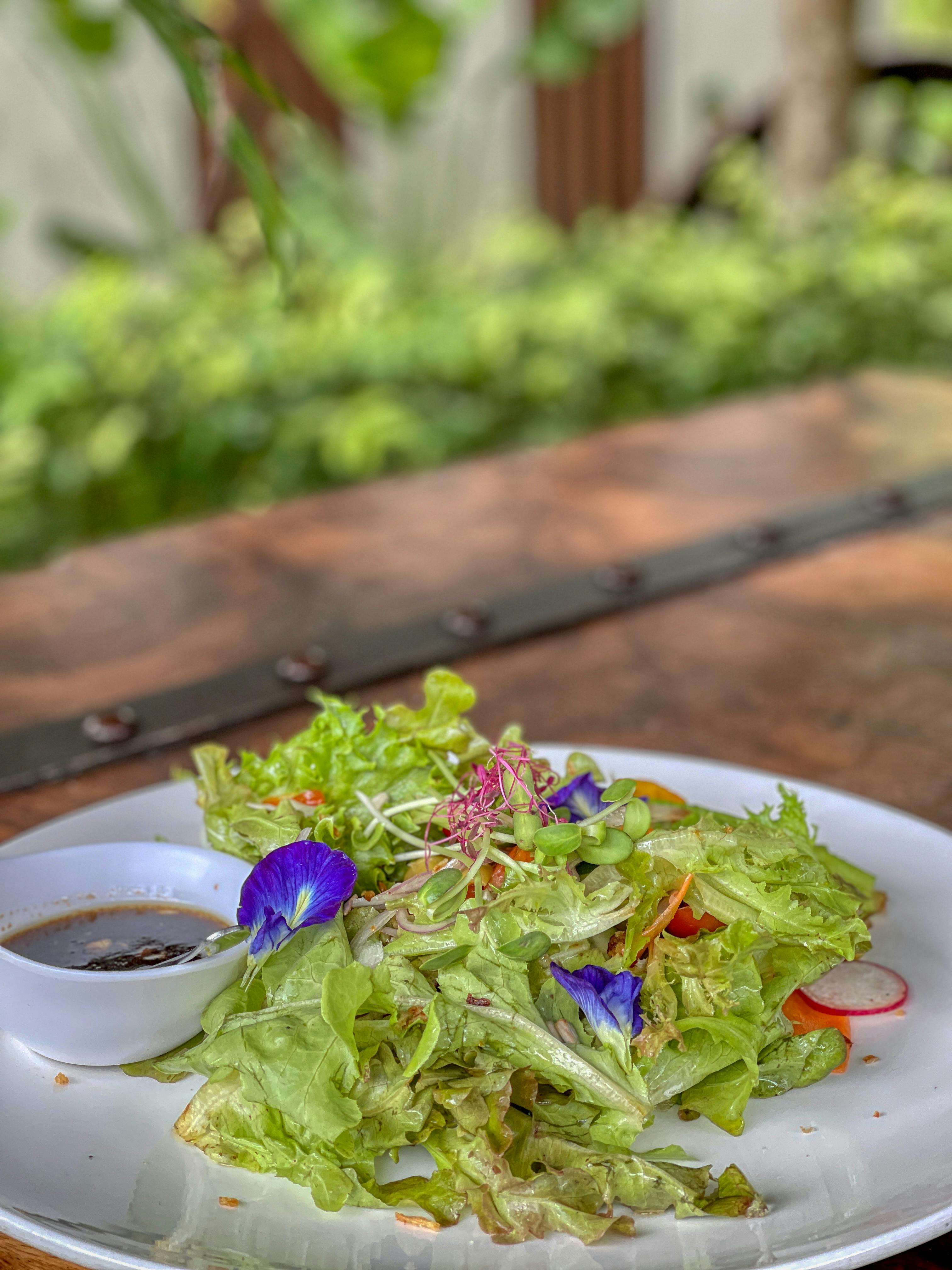 Green and Purple Vegetables on White Ceramic Plate