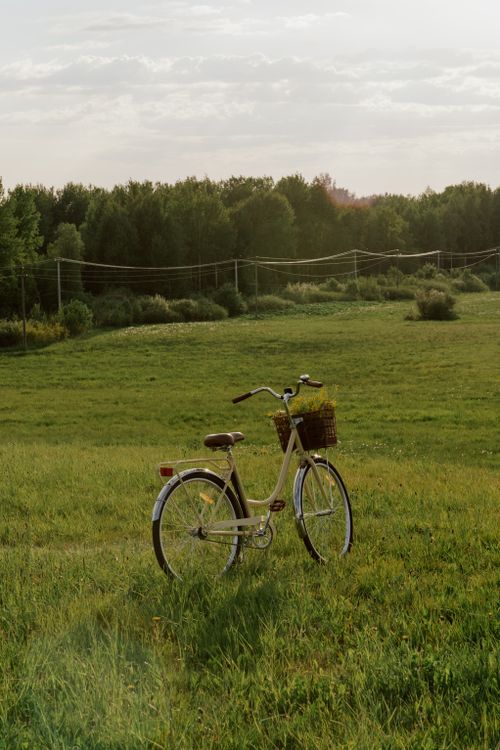 Free Charming vintage bicycle in a lush green meadow under a warm summer sky. Stock Photo