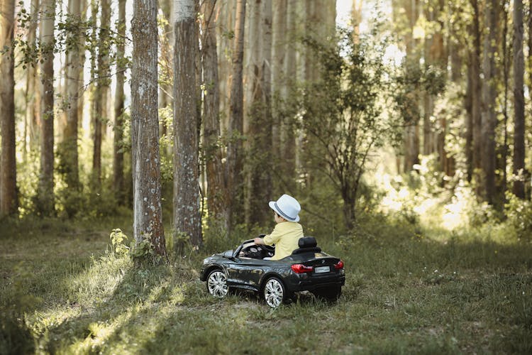 Little Boy In Hat Driving Toy Car In Forest