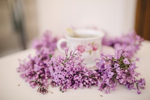 Purple Flowers in Close Up Photography