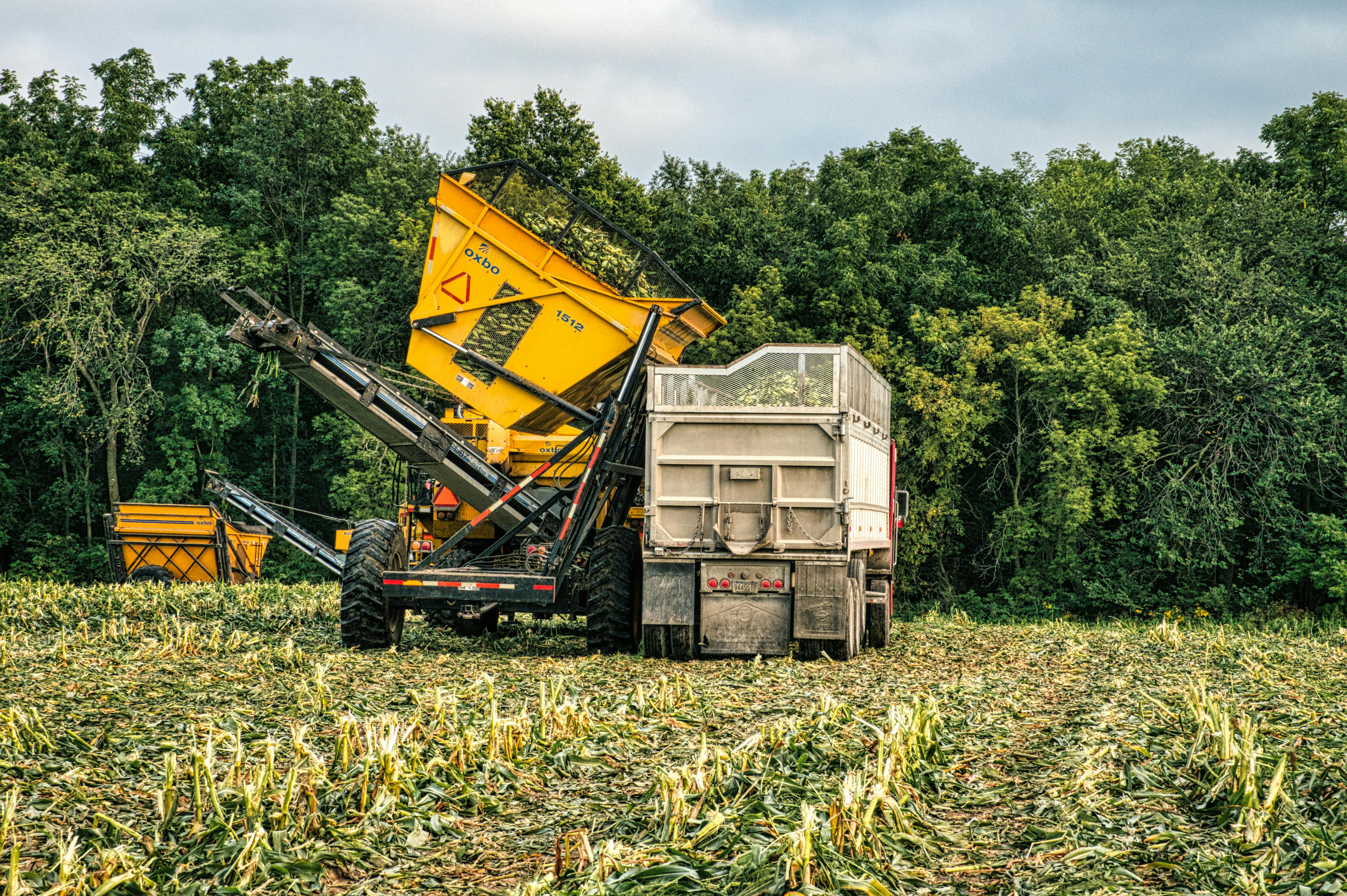 Photo Magnet | Green Machine