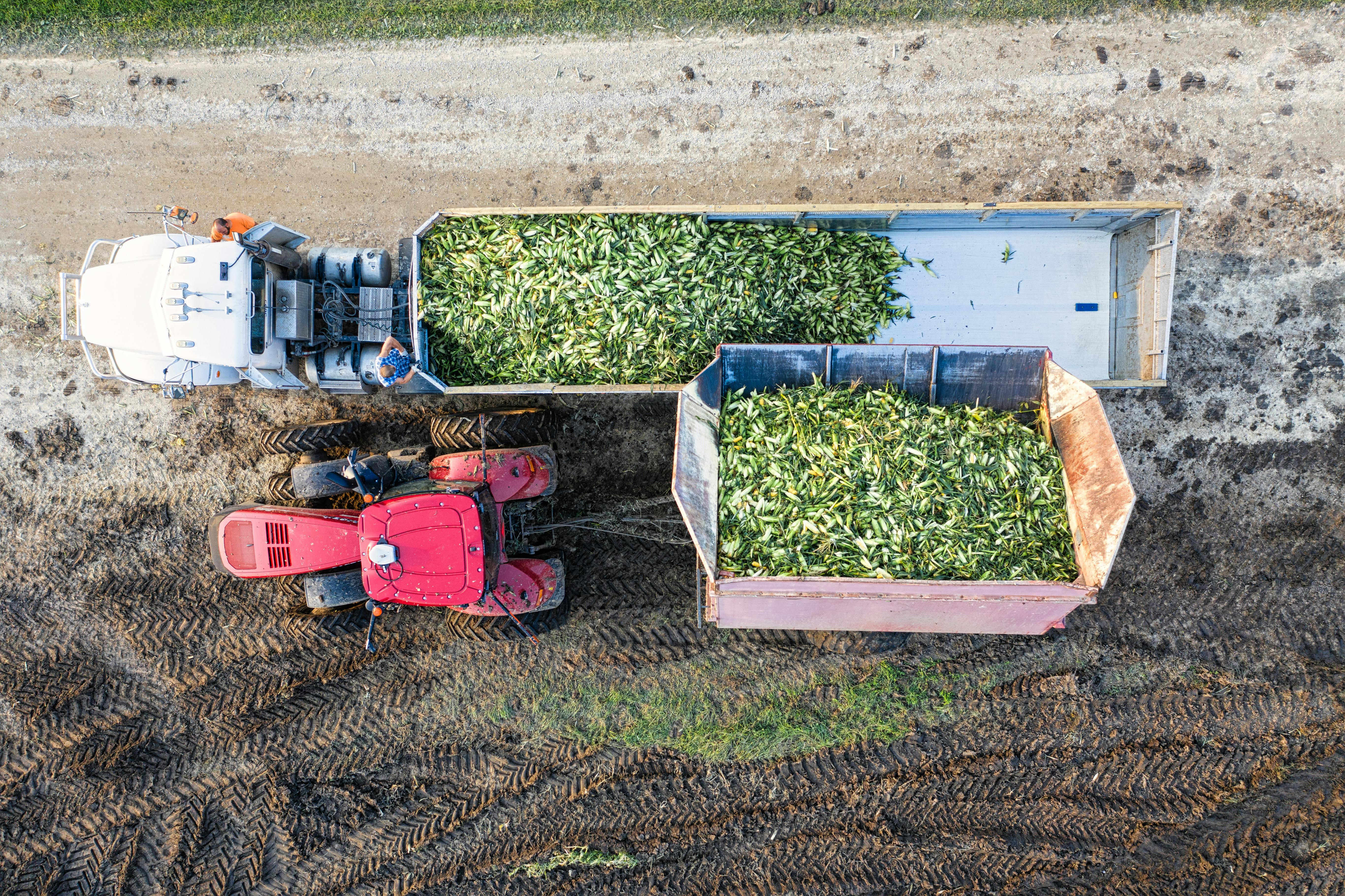 National Corn Growers Association and Ag Data Transparent Release Transparency Principles for Ag Carbon — Photo by Tom Fisk o