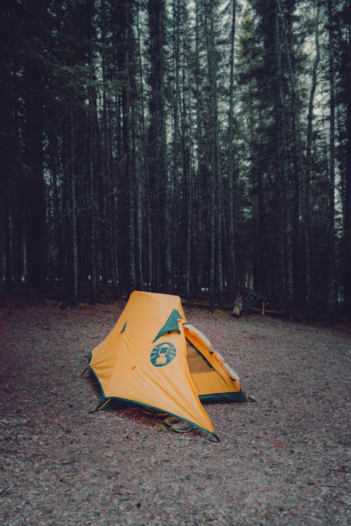 Yellow Tent in the Forest