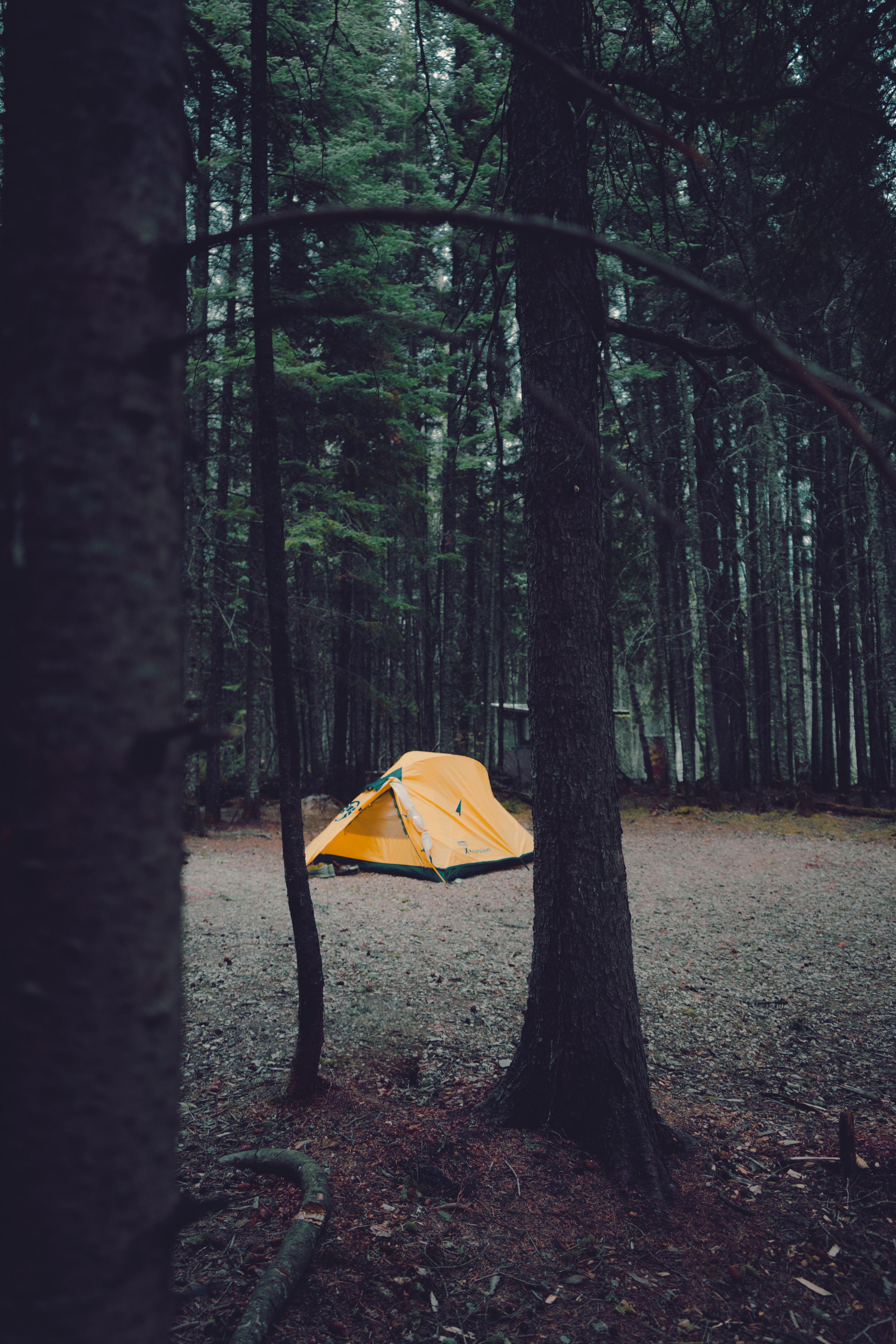 Sunrise over a quiet national park campground with tents and pine trees