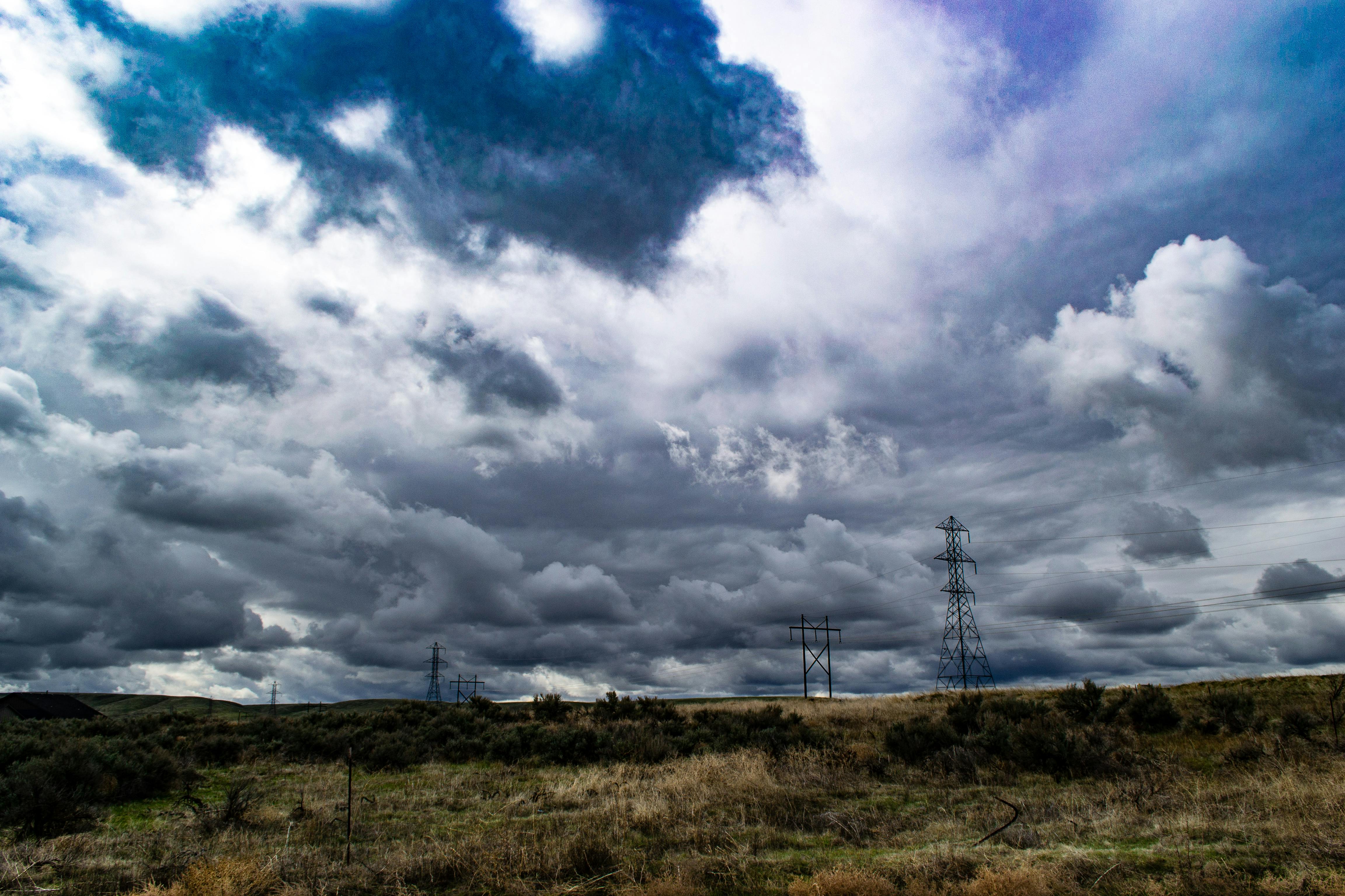 Foto de stock gratuita sobre al aire libre, campo, césped