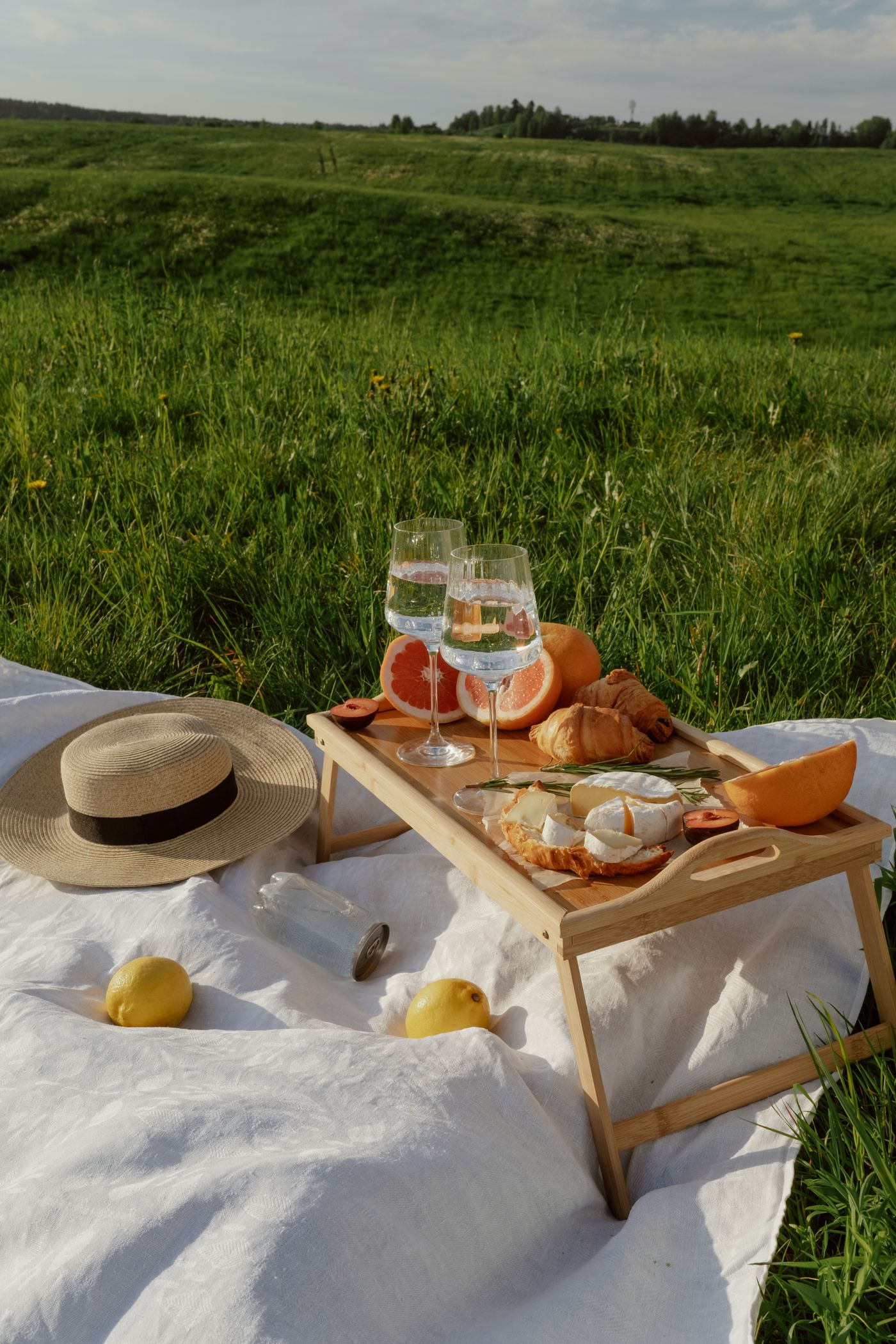 Picnic tray on a green meadow