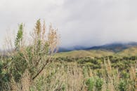 乡村风光宁静，绿树成荫，群山云雾缭绕