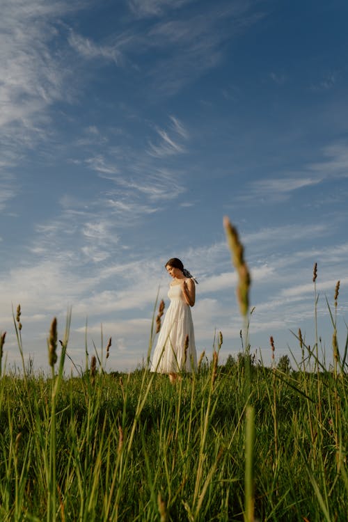 Free Woman in White Dress on a Meadow Stock Photo