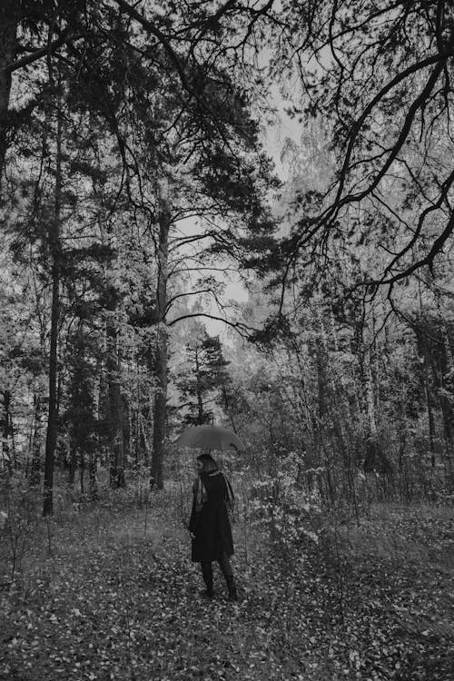Free Black and White Photo of Woman Holding Umbrella in Forest Stock Photo