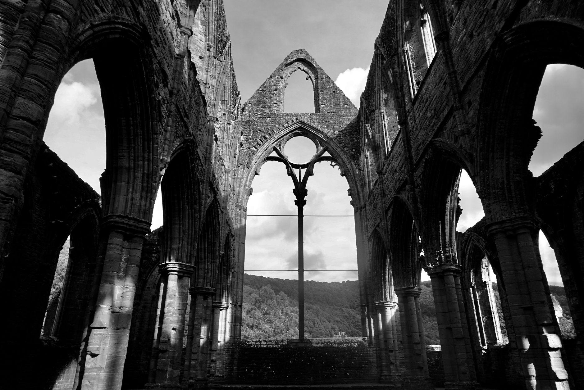 Tintern Abbey ruins rising from the Wye Valley floor, Monmouthshire, Wales