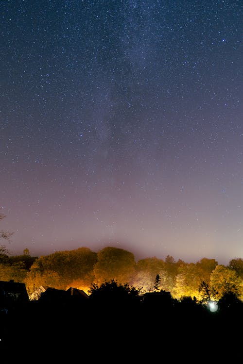 Immagine gratuita di alberi, bellissimo, cielo notturno