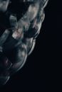 Clear Glass Ball With Black Background