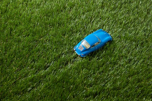 A Blue Toy Car on Green Grass