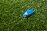 A Blue Toy Car on Green Grass