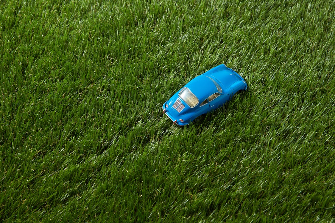 A Blue Toy Car on Green Grass