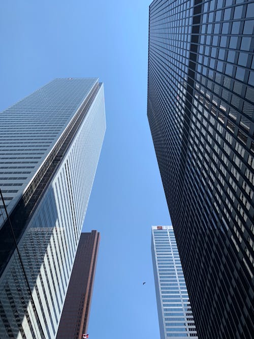 Tall Buildings Under Blue Sky