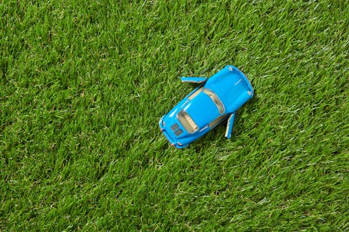 Blue Toy Car on Green Grass