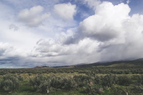 Vista Aérea De La Granja